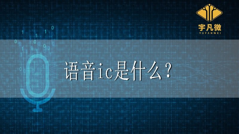 語音ic是什么？