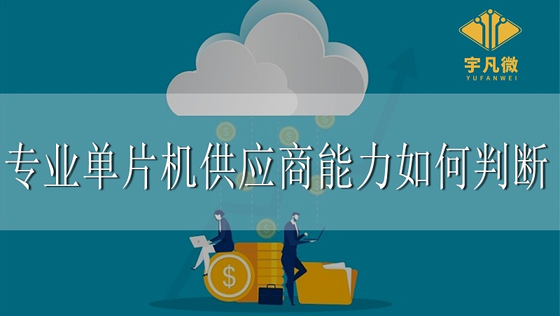 專業(yè)單片機(jī)供應(yīng)商能力如何判斷